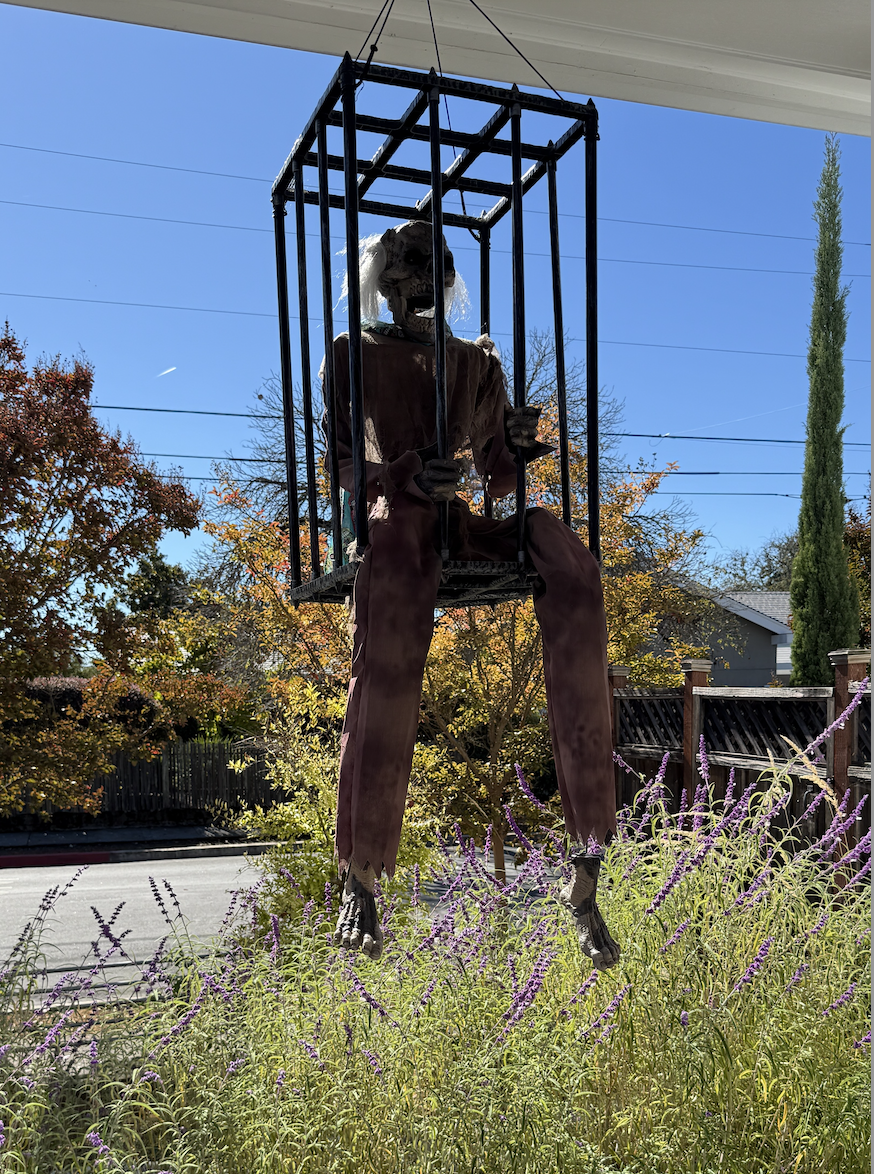 Best Halloween Decor Healdsburg